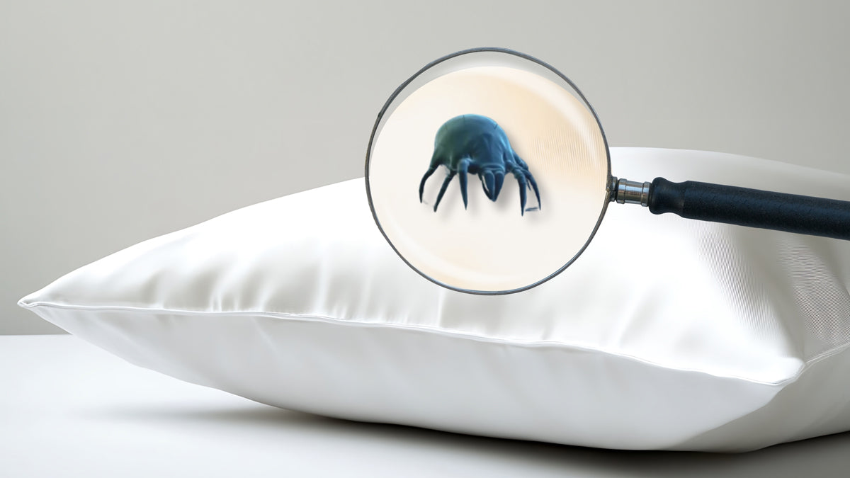 The Pillow Lifespan Myth: How Long Should You Really Keep Your Pillow?