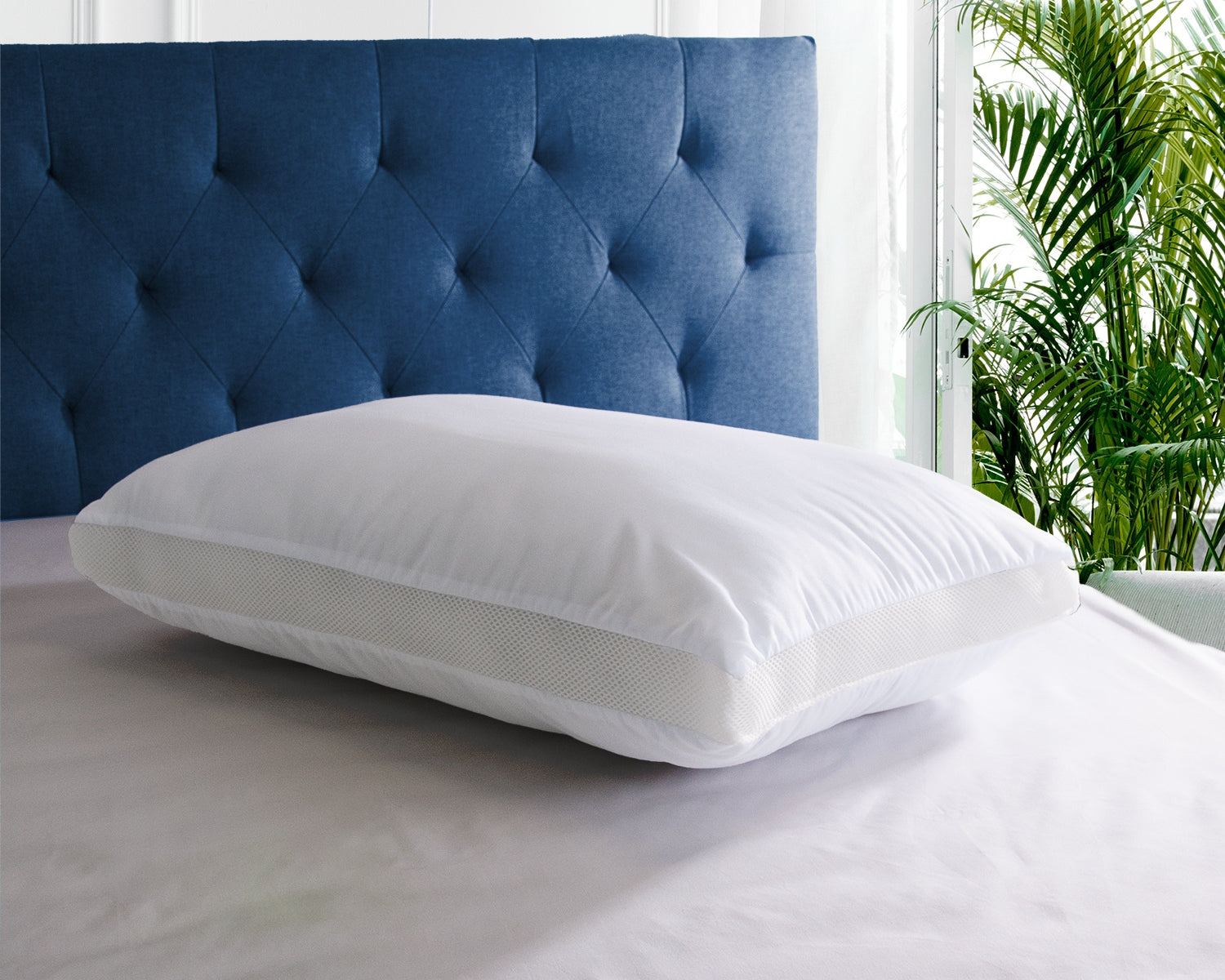 Head2Sleep Pillows | Pillow World | UK's Leading Pillow Specialist | UK's Lowest Prices | Featuring UK's Best Brands including TEMPUR®, Dunlopillo, Hypnos, Silentnight, Sealy, Seriously Comfortable & More