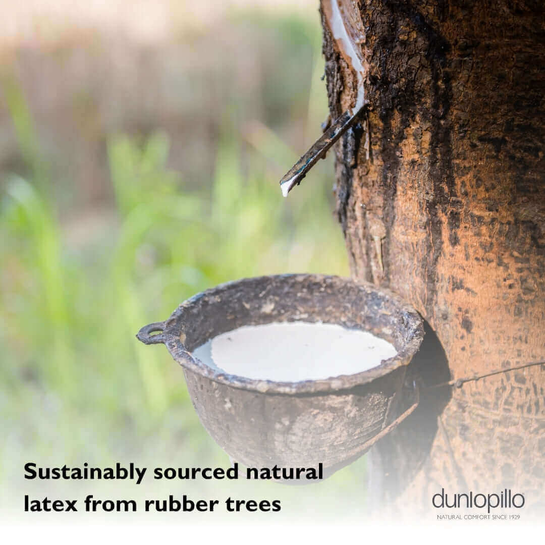 Dunlopillo Super Comfort Latex Pillow | UK's Leading Pillow Specialist | UK's Lowest Prices | Featuring UK's Best Brands including TEMPUR®, Dunlopillo, Hypnos, Silentnight, Sealy, Seriously Comfortable & More