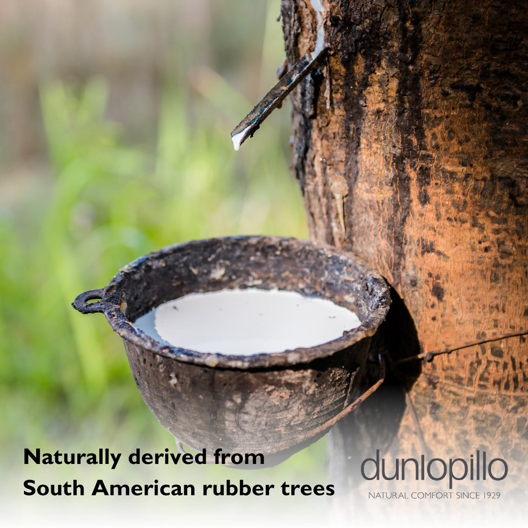 Dunlopillo Super Comfort Latex Pillow