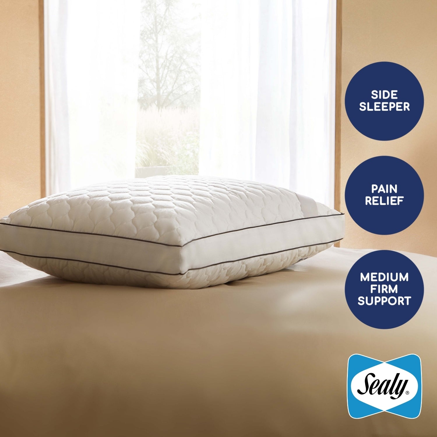 Sealy Side Sleeper Pillow at Pillow World