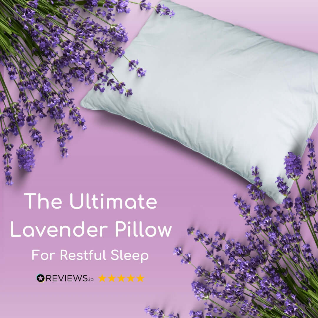 Head2Sleep Lavender Pillow | UK's Leading Pillow Specialist | UK's Lowest Prices | Featuring UK's Best Brands including TEMPUR®, Dunlopillo, Hypnos, Silentnight, Sealy, Seriously Comfortable & More