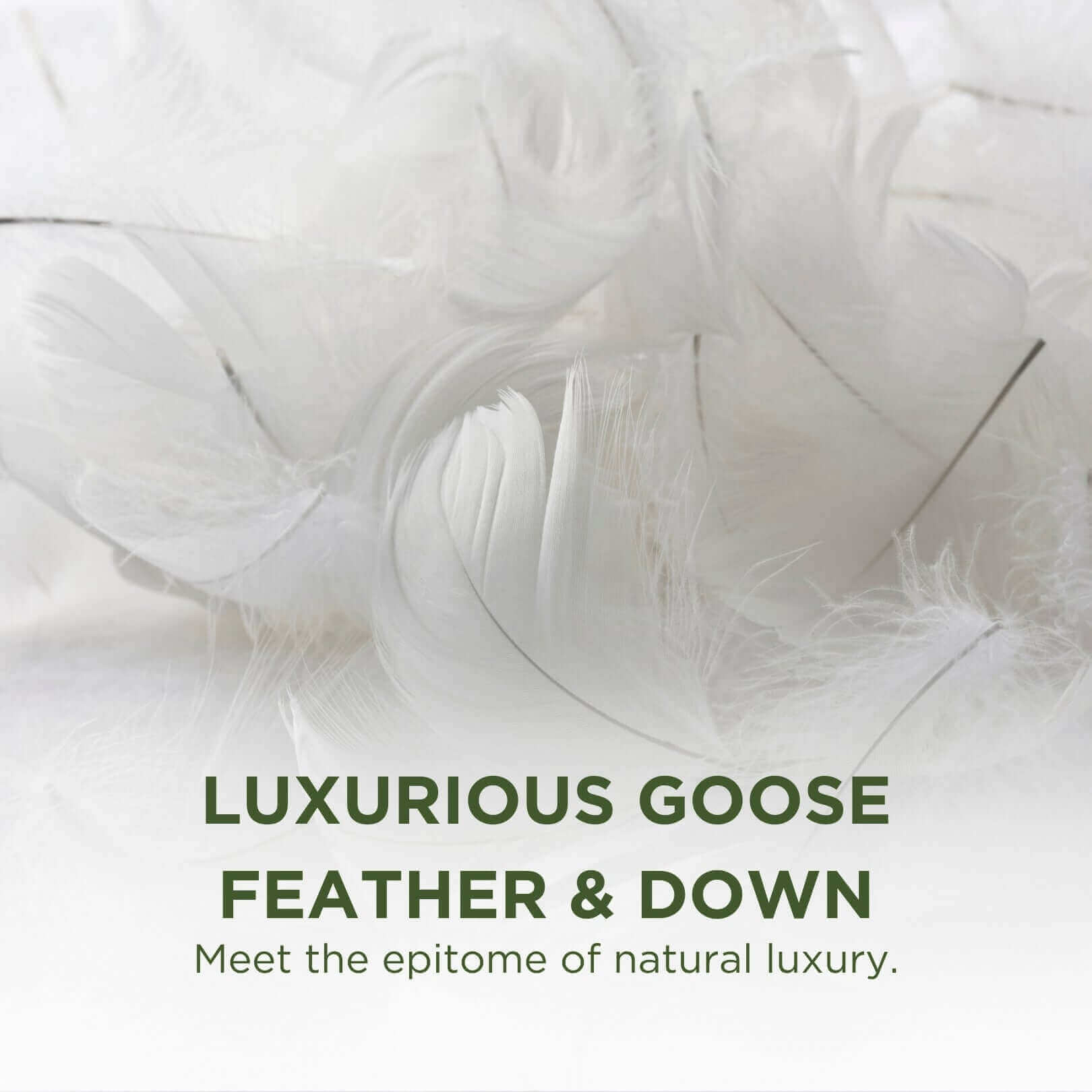 Nature's Hug Goose Feather and Down Pillow | UK's Leading Pillow Specialist | UK's Lowest Prices | Featuring UK's Best Brands including TEMPUR®, Dunlopillo, Hypnos, Silentnight, Sealy, Seriously Comfortable & More