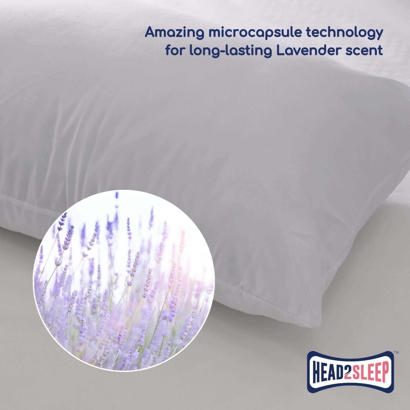 Head2Sleep Lavender Pillow | UK's Leading Pillow Specialist | UK's Lowest Prices | Featuring UK's Best Brands including TEMPUR®, Dunlopillo, Hypnos, Silentnight, Sealy, Seriously Comfortable & More