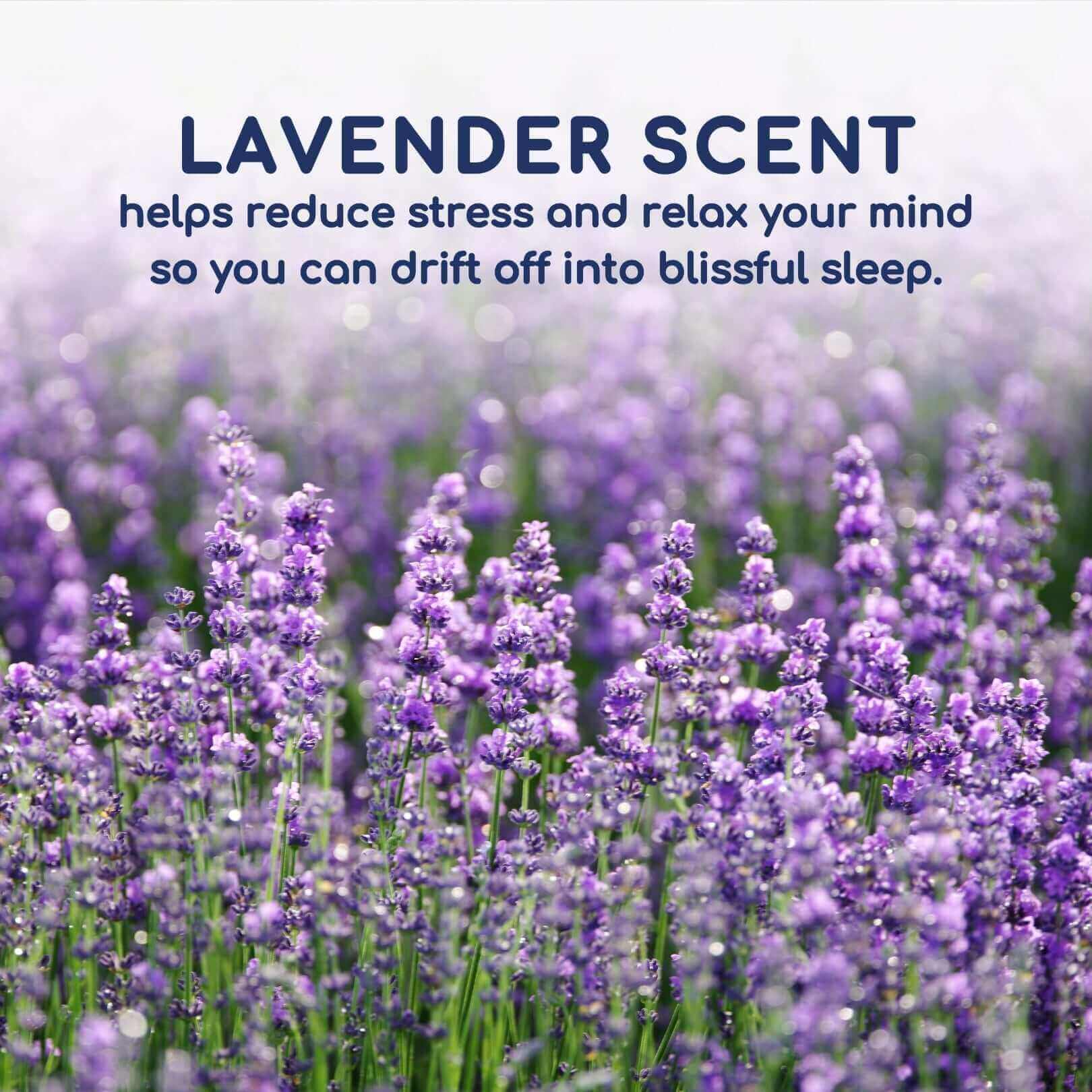 Head2Sleep Lavender Pillow | UK's Leading Pillow Specialist | UK's Lowest Prices | Featuring UK's Best Brands including TEMPUR®, Dunlopillo, Hypnos, Silentnight, Sealy, Seriously Comfortable & More