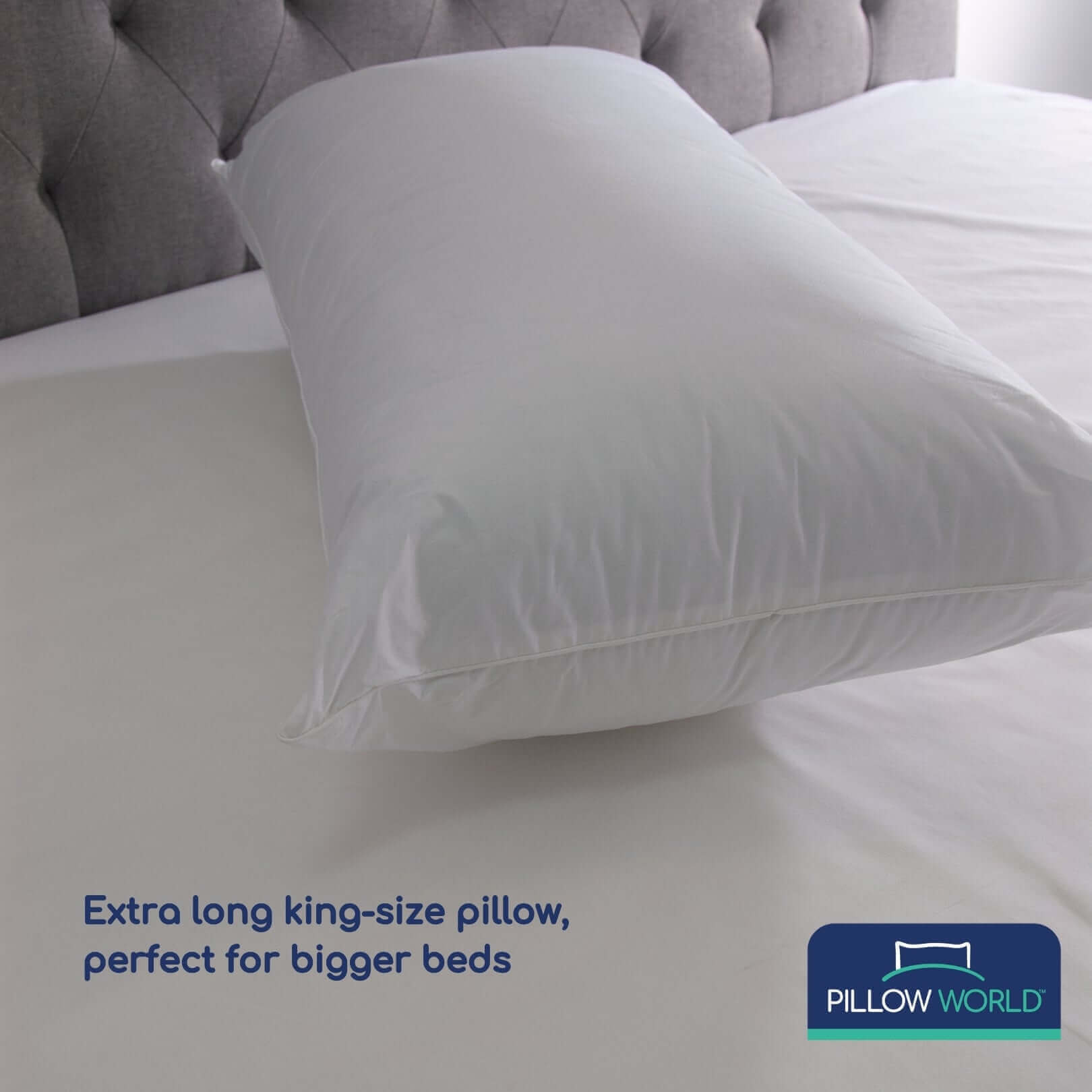 Pillow World King Size Luxury Cotton Pillow | UK's Leading Pillow Specialist | UK's Lowest Prices | Featuring UK's Best Brands including TEMPUR®, Dunlopillo, Hypnos, Silentnight, Sealy, Seriously Comfortable & More