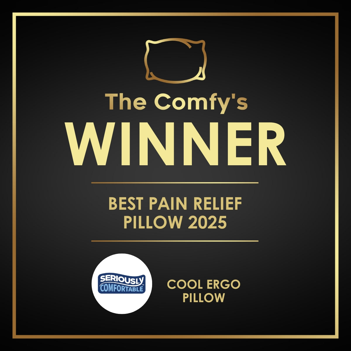 Seriously Comfortable Ergo Pain Relief Pillow