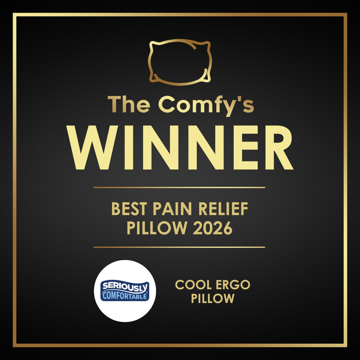 Seriously Comfortable Ergo Pain Relief Pillow