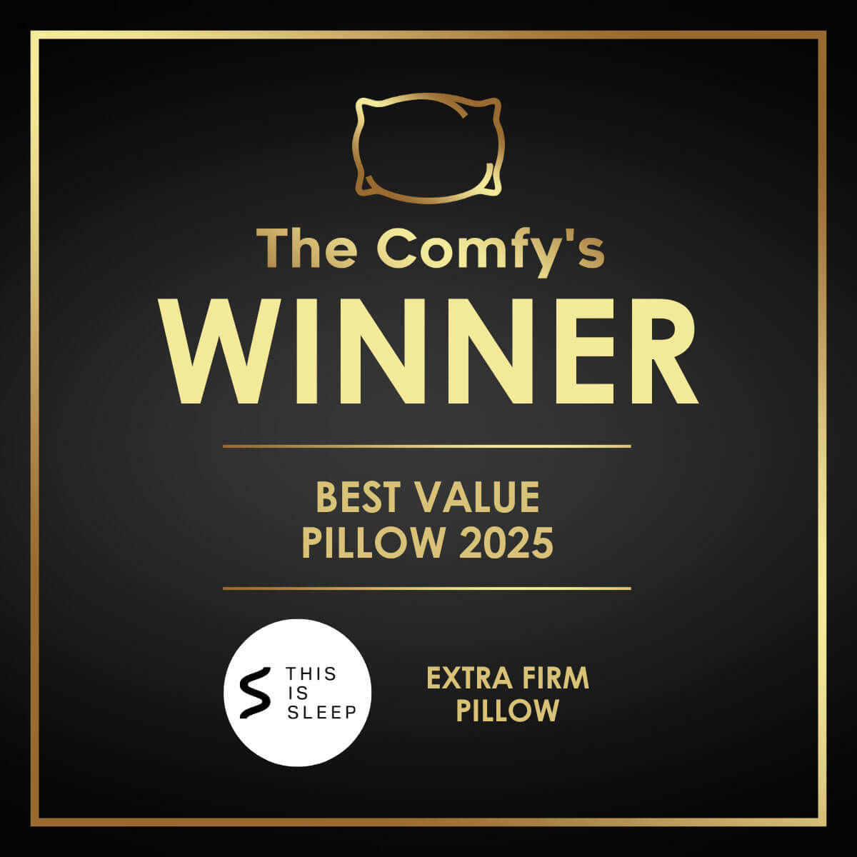 This Is Sleep® Extra Firm Pillow by The Fine Bedding Company | UK's Leading Pillow Specialist | UK's Lowest Prices | Featuring UK's Best Brands including TEMPUR®, Dunlopillo, Hypnos, Silentnight, Sealy, Seriously Comfortable & More