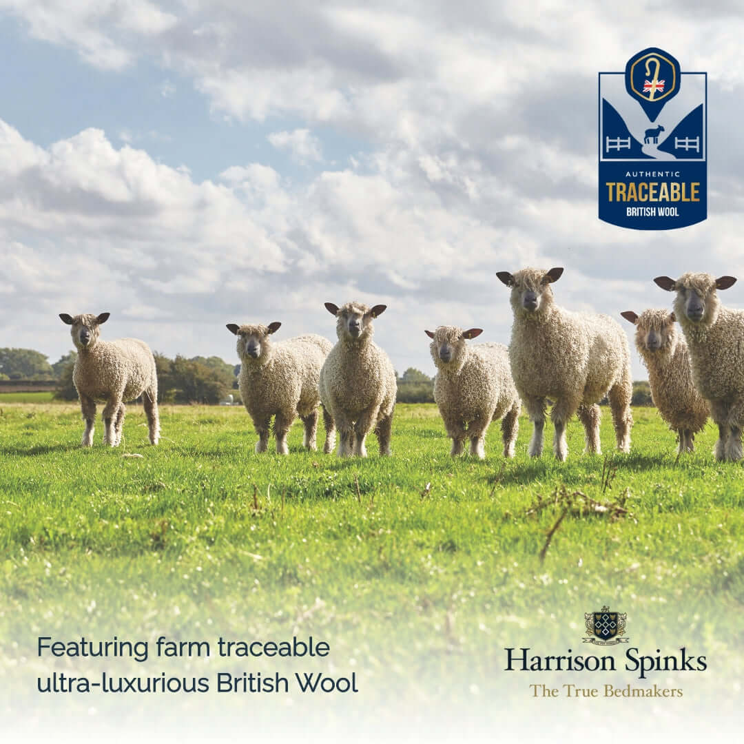 Harrison Spinks Premium British Wool Pillow | UK's Leading Pillow Specialist | UK's Lowest Prices | Featuring UK's Best Brands including TEMPUR®, Dunlopillo, Hypnos, Silentnight, Sealy, Seriously Comfortable & More