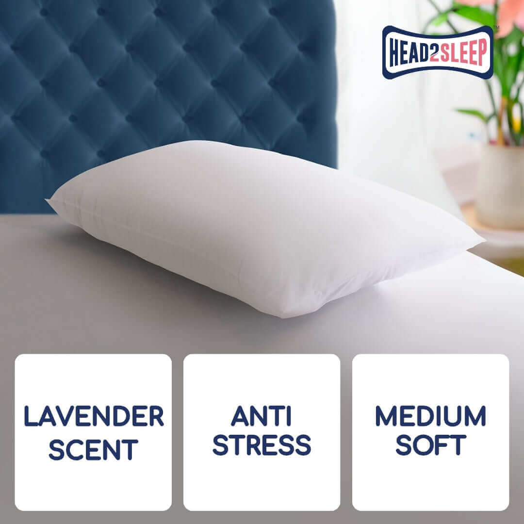 Head2Sleep Lavender Pillow - Pack of 2 | UK's Leading Pillow Specialist | UK's Lowest Prices | Featuring UK's Best Brands including TEMPUR®, Dunlopillo, Hypnos, Silentnight, Sealy, Seriously Comfortable & More