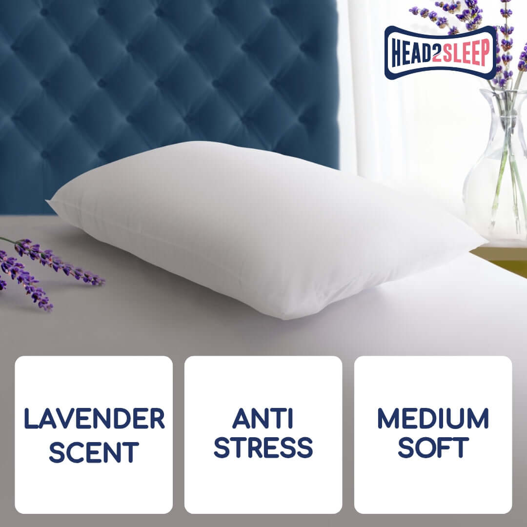 Head2Sleep Lavender Pillow | UK's Leading Pillow Specialist | UK's Lowest Prices | Featuring UK's Best Brands including TEMPUR®, Dunlopillo, Hypnos, Silentnight, Sealy, Seriously Comfortable & More