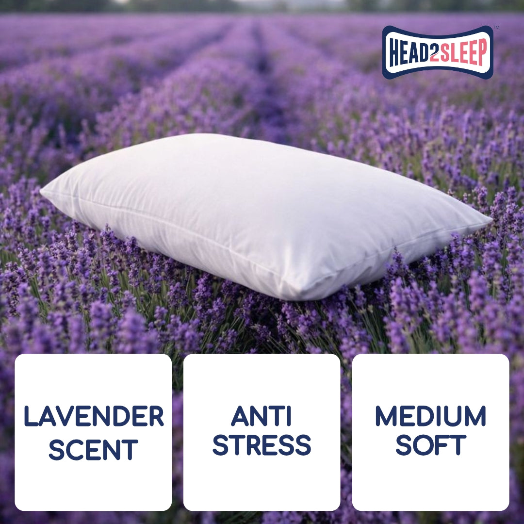 Head2Sleep Lavender Pillow