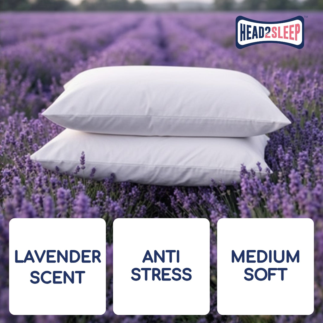 Head2Sleep Lavender Pillow - Pack of 2