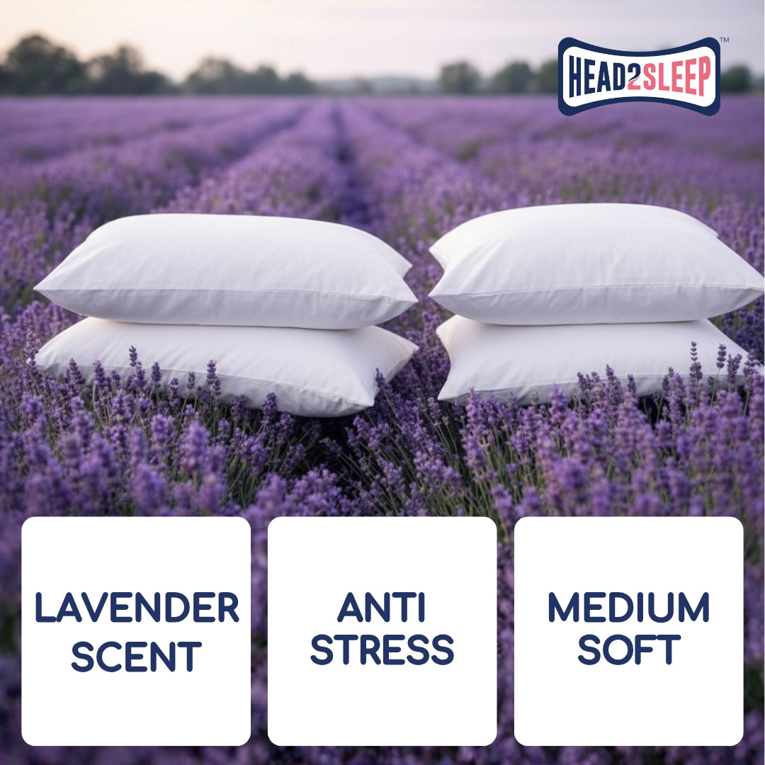 Head2Sleep Lavender Pillow - Pack of 4