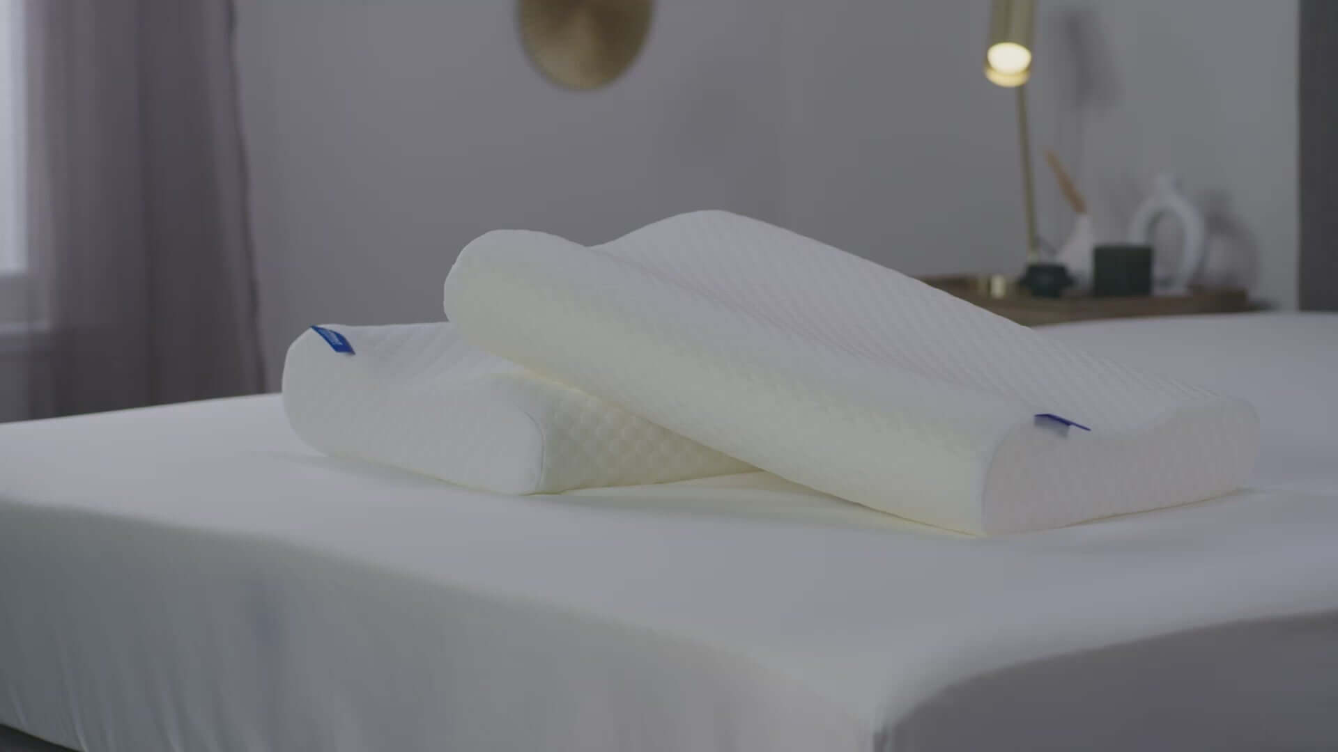 Seriously Comfortable Anatomic Comfort Pillow | UK's Leading Pillow Specialist | UK's Lowest Prices | Featuring UK's Best Brands including TEMPUR®, Dunlopillo, Hypnos, Silentnight, Sealy, Seriously Comfortable & More