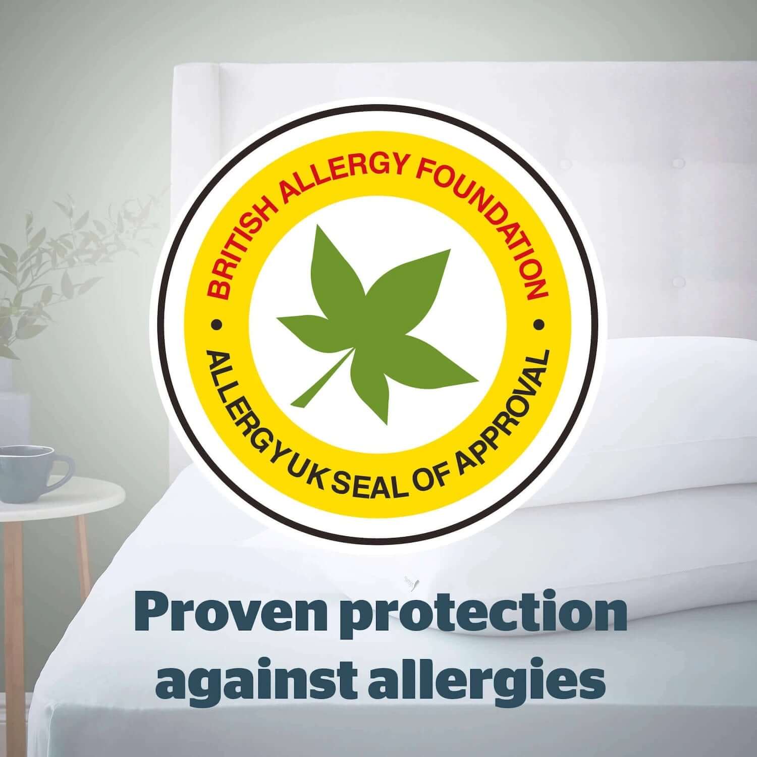 Silentnight Anti-Allergy Pillow - Pack of 2 | UK's Leading Pillow Specialist | UK's Lowest Prices | Featuring UK's Best Brands including TEMPUR®, Dunlopillo, Hypnos, Silentnight, Sealy, Seriously Comfortable & More