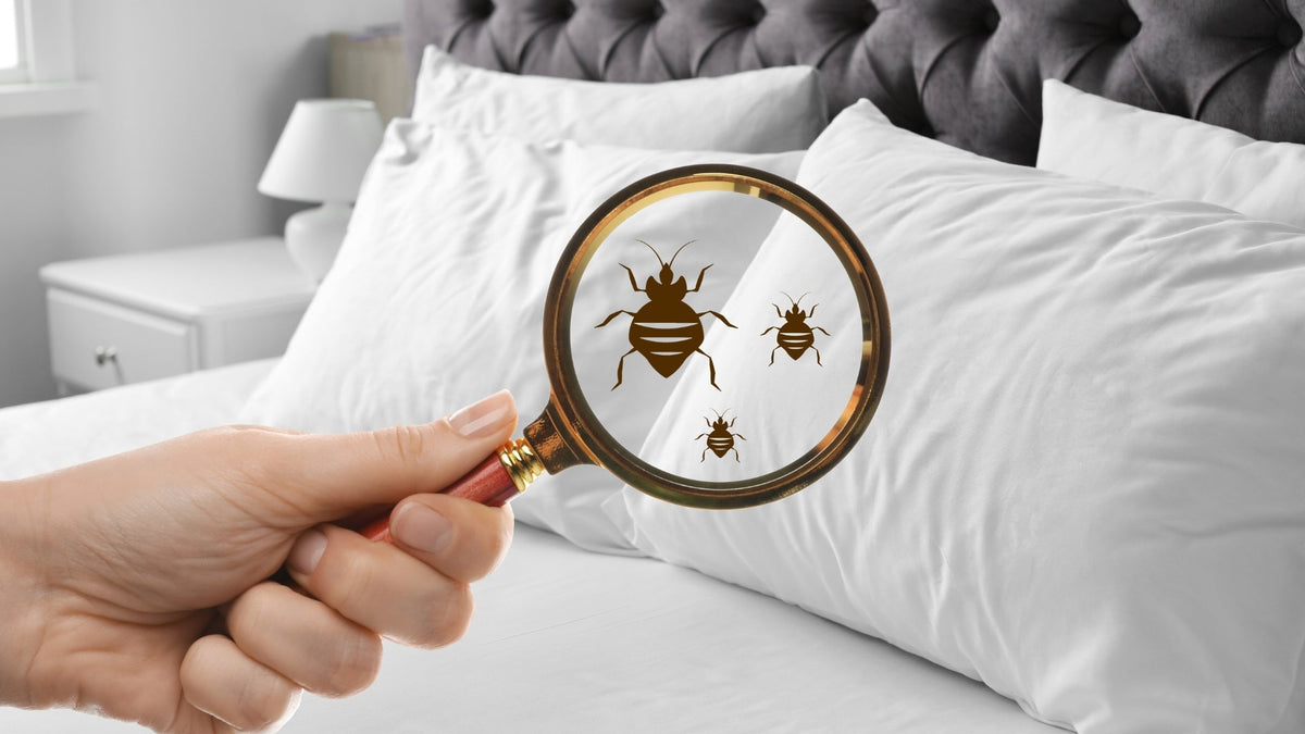 Pillow Care And Maintenance