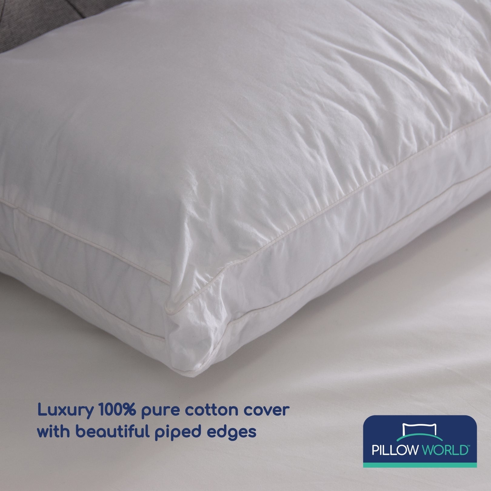 Pillow World Luxury Walled Cotton Pillow