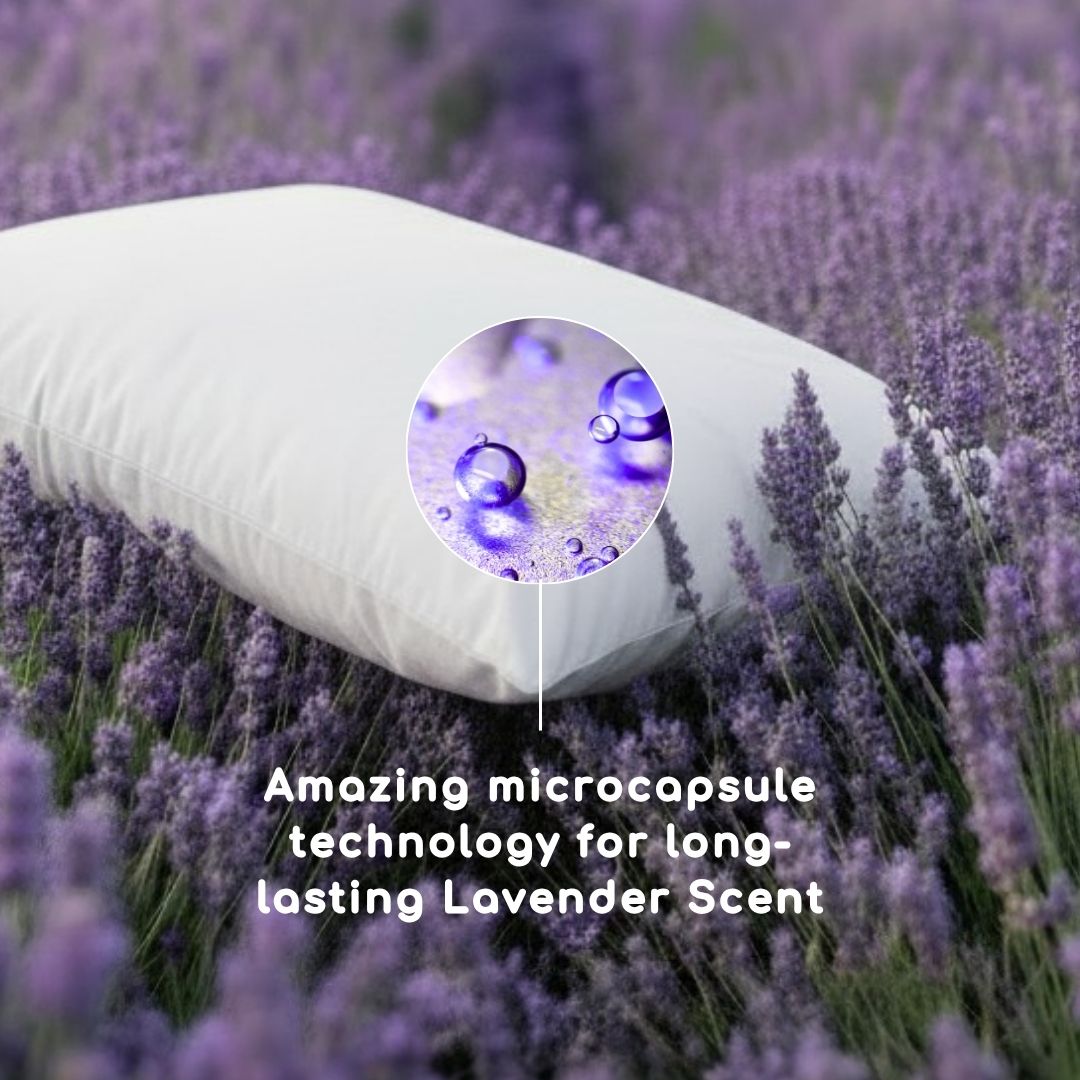 Head2Sleep Lavender Pillow
