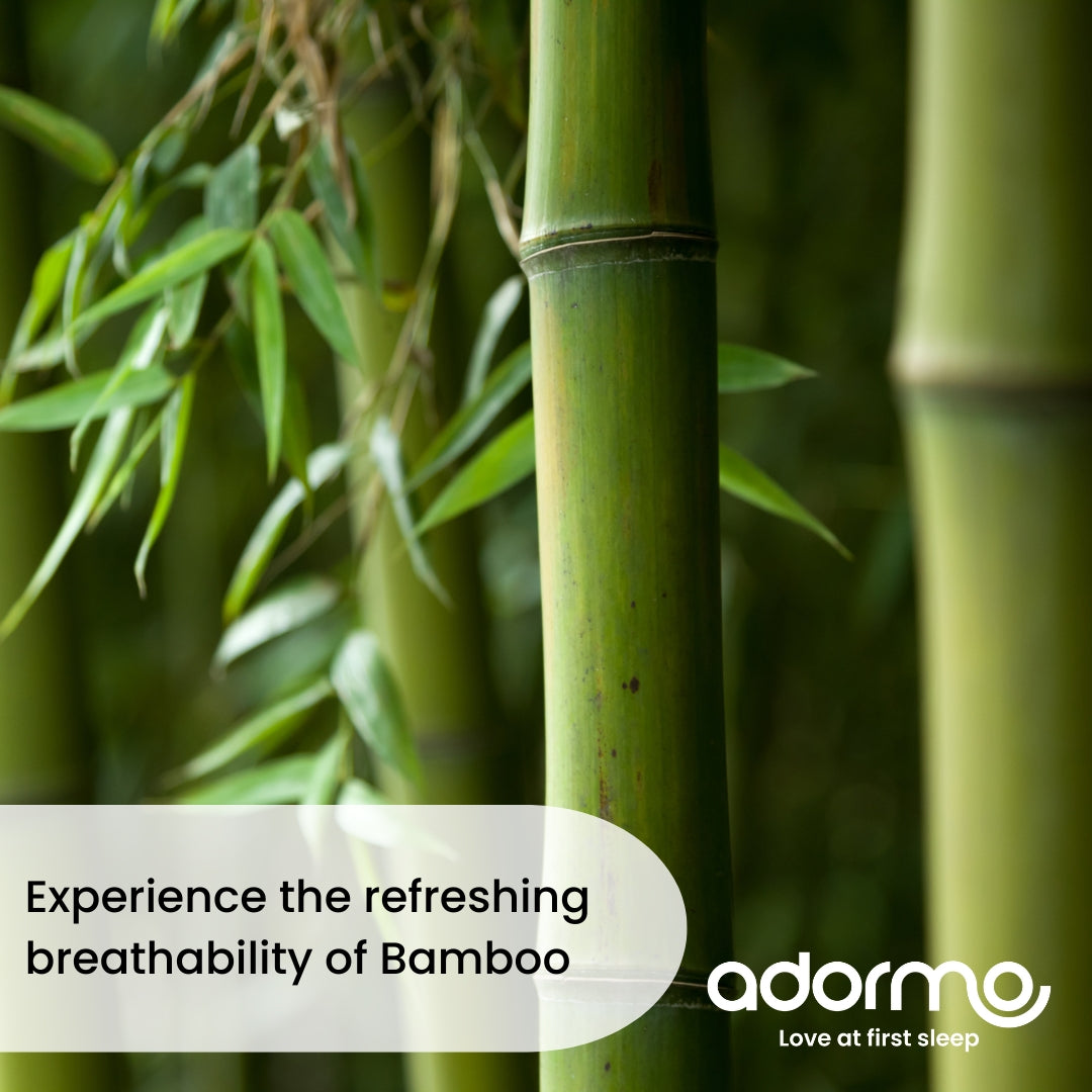 Adormo Bamboo Pillow