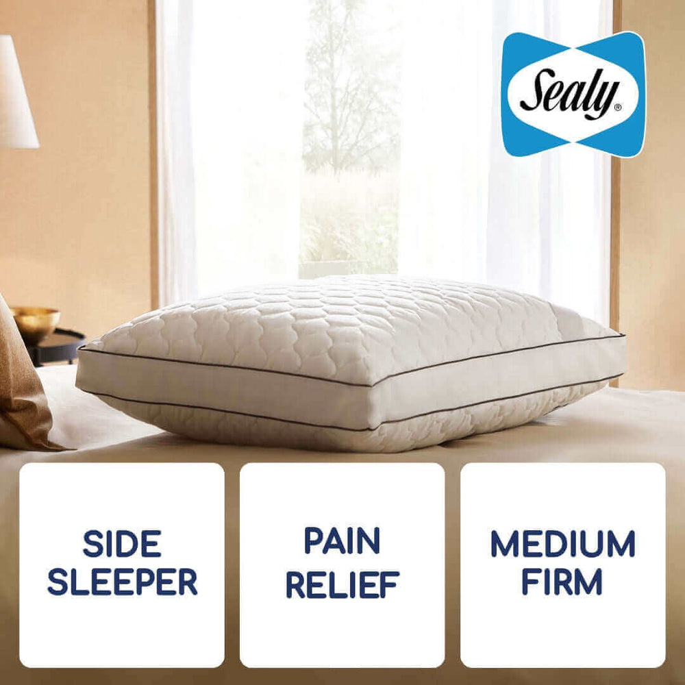 Sealy Side Sleeper Pillow at Pillow World