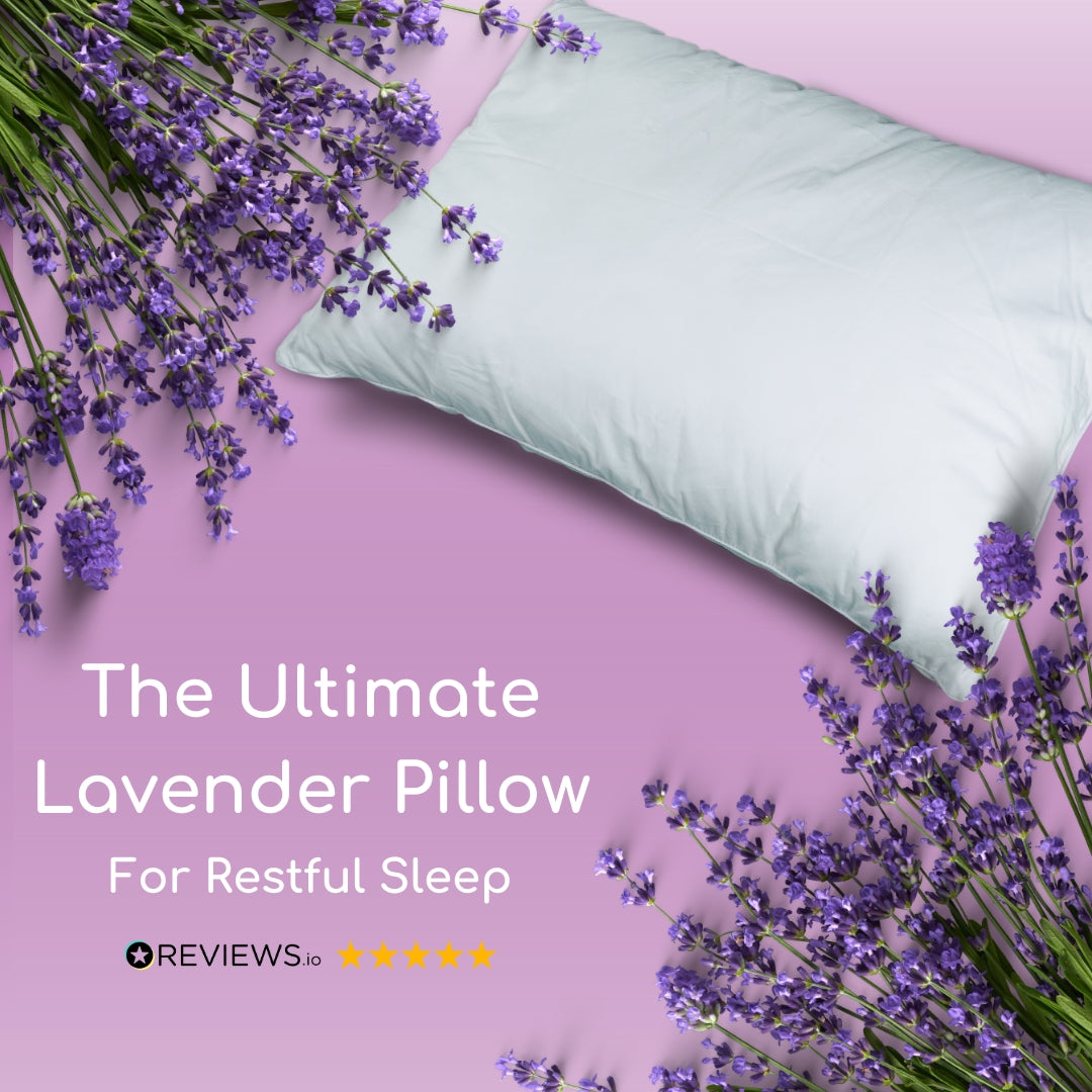 Head2Sleep Lavender Pillow