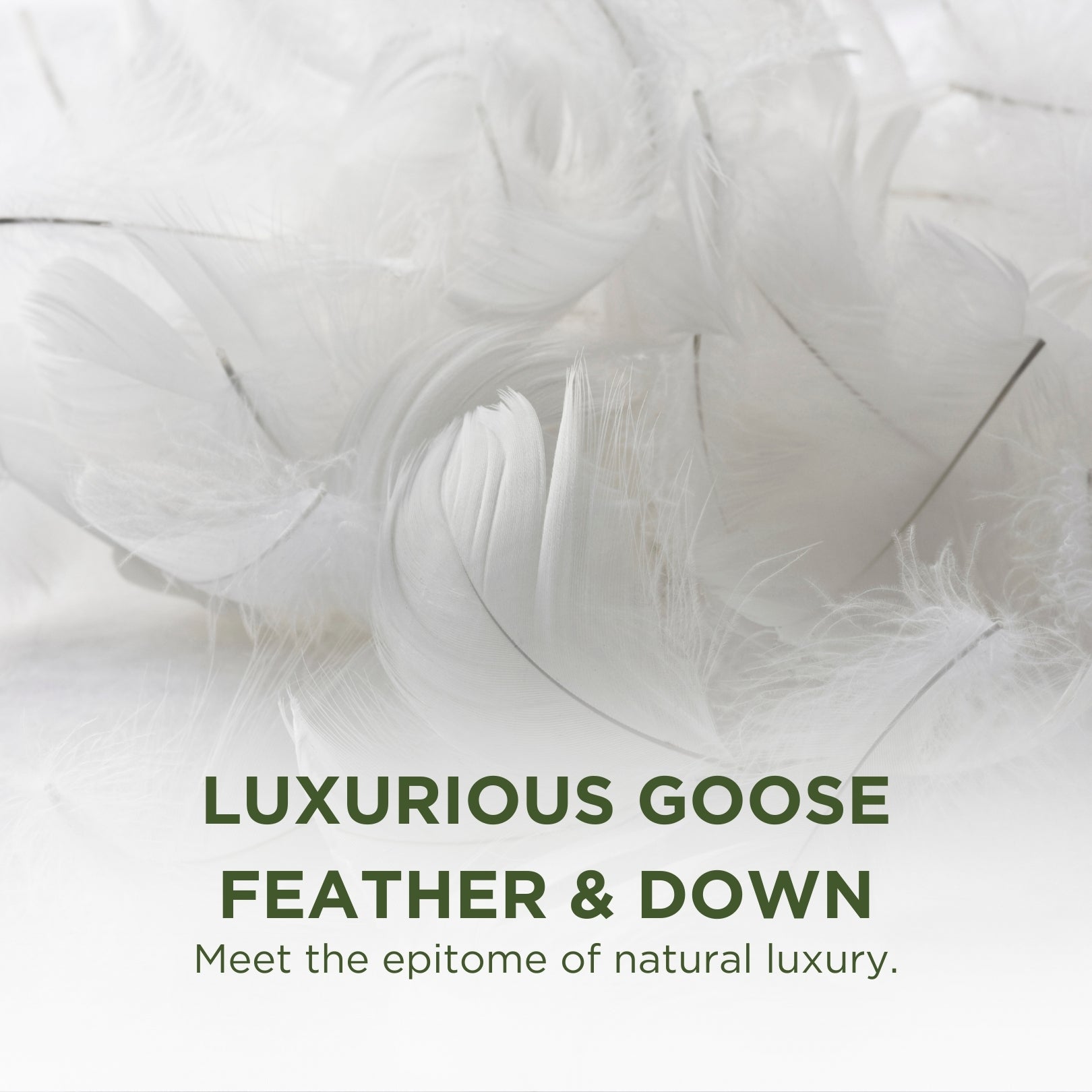 Nature's Hug	Goose Feather and Down Pillow