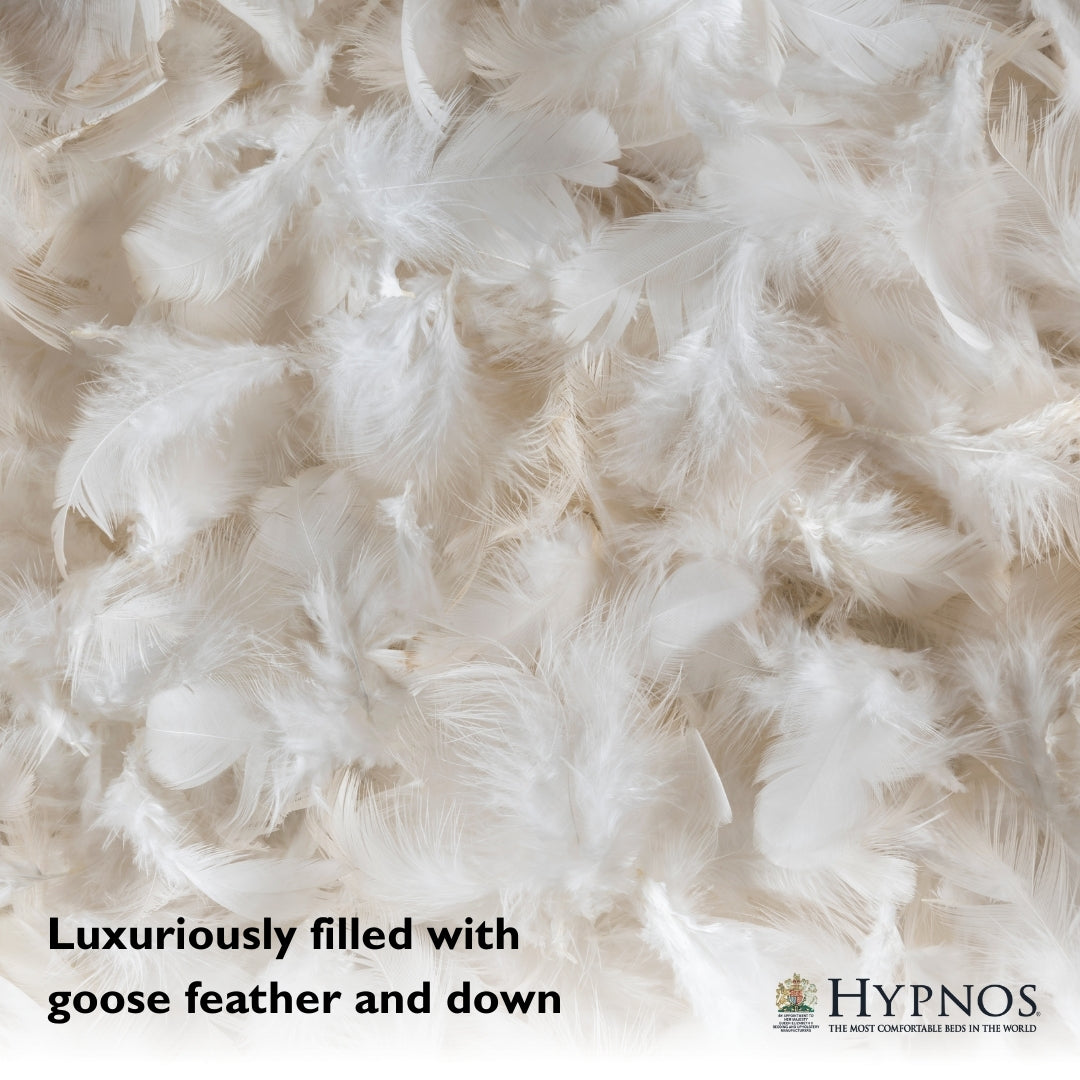 Goose feather and down hotsell