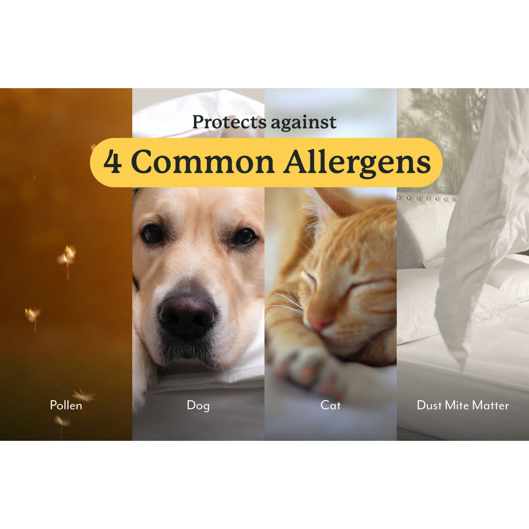 The Fine Bedding Company Allergy Defence Pillow