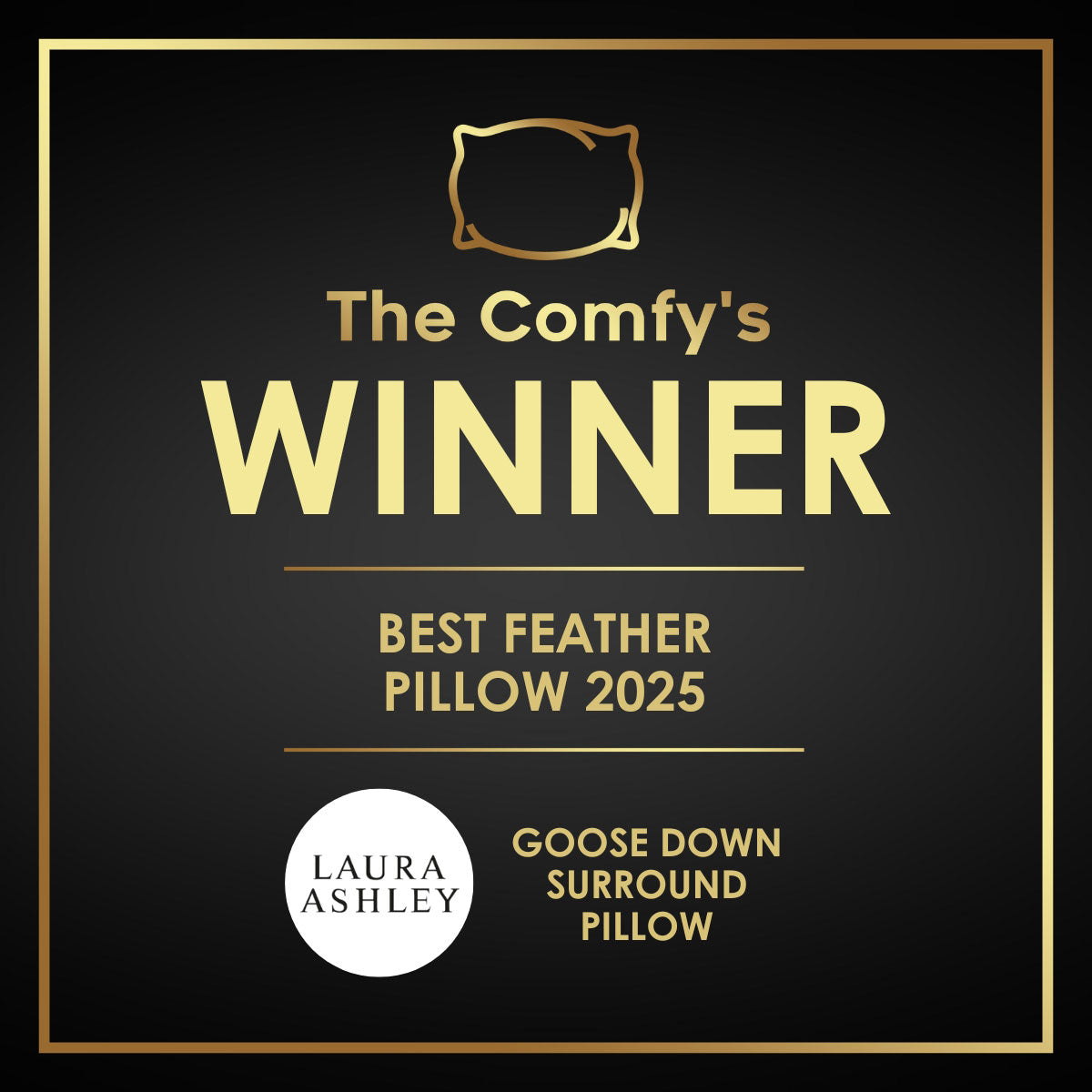 Best Feather Pillow 2025 | Laura Ashley Goose Down Surround Pillow