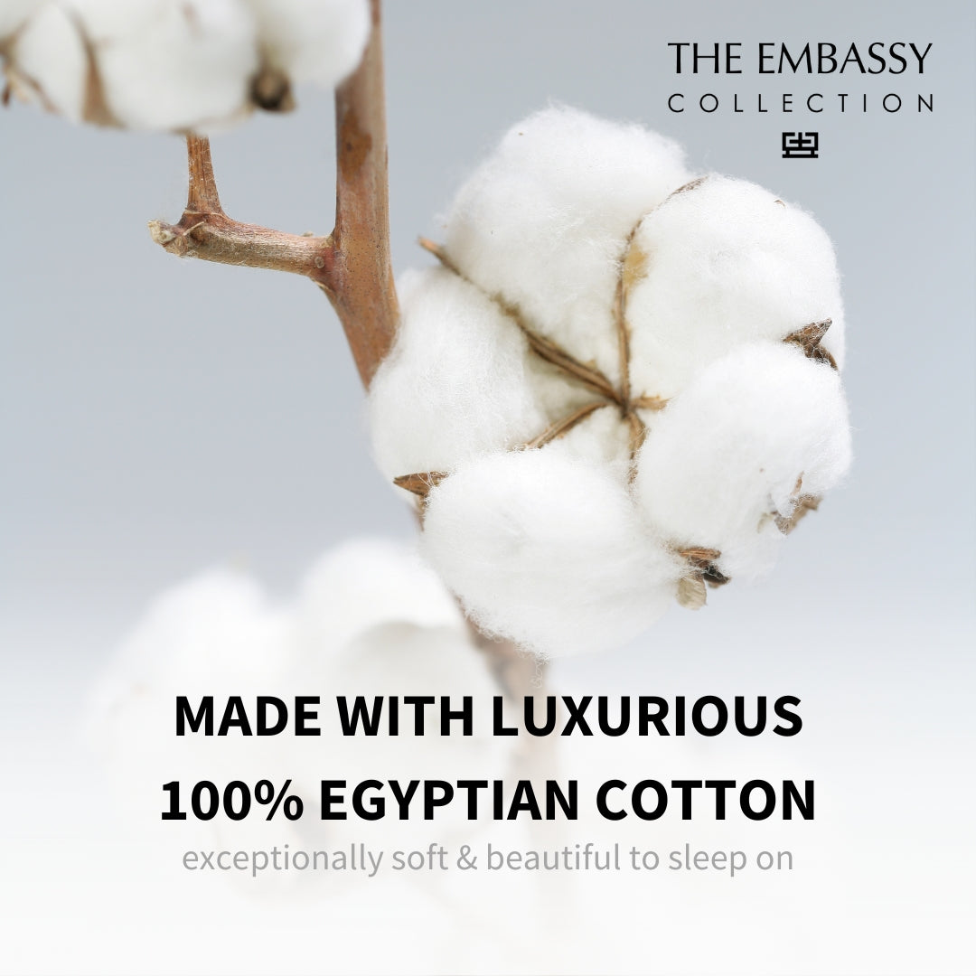 The Embassy Collection King-Size Pillow Case made with 100% luxurious Egyptian cotton