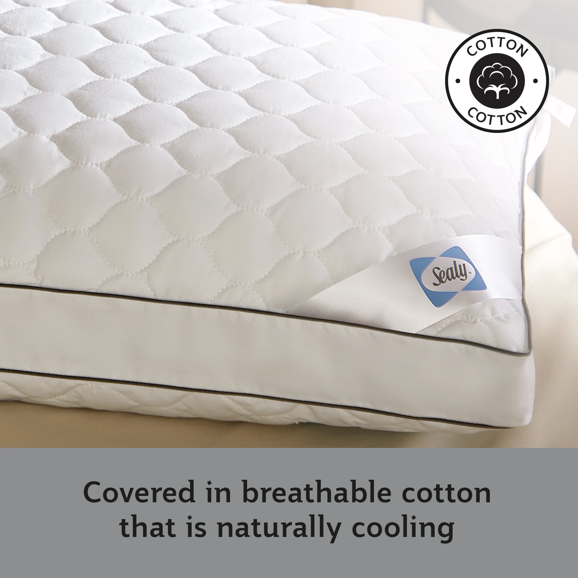 Sealy Side Sleeper Pillow - Pack of 2