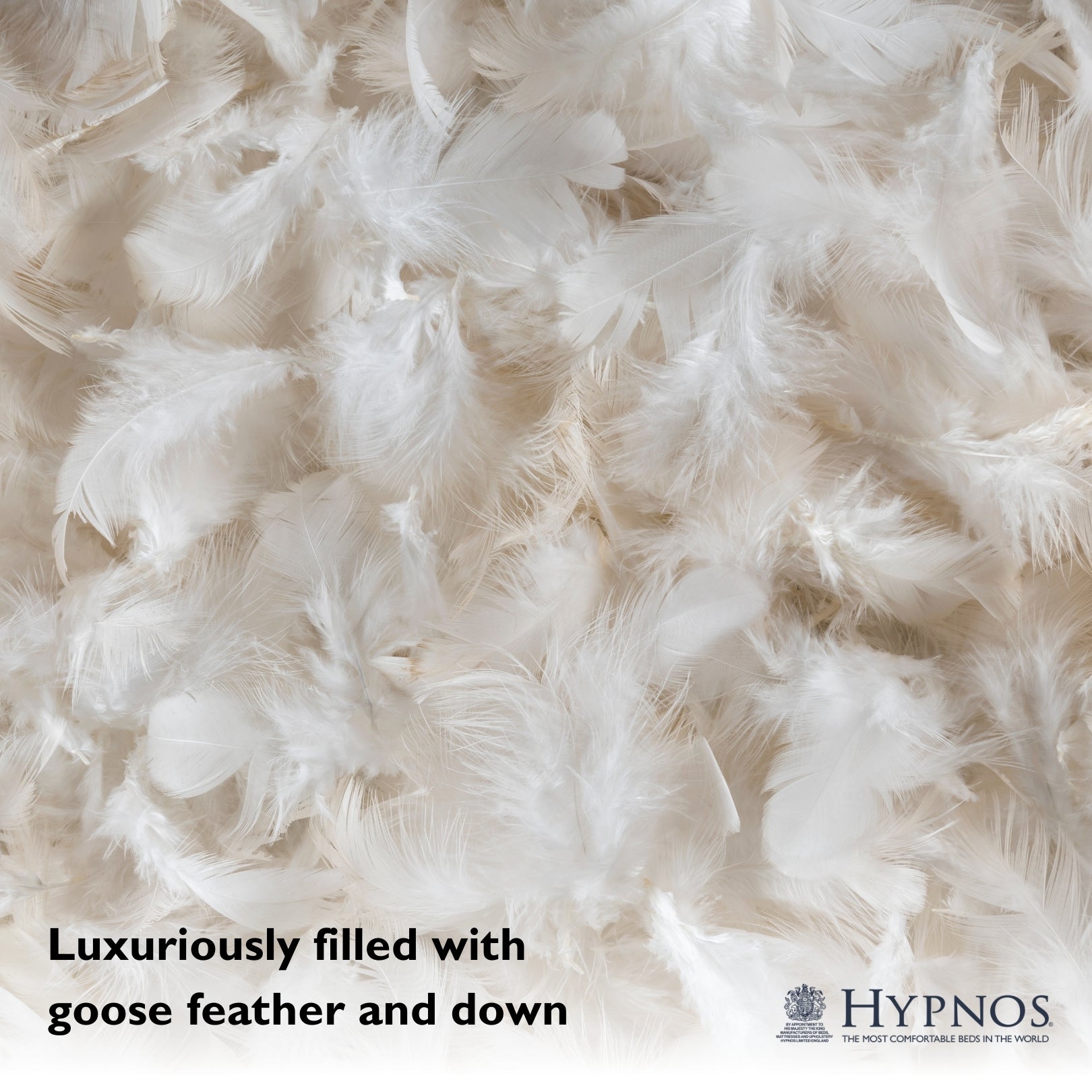 Hypnos Goose Feather & Down Pillow