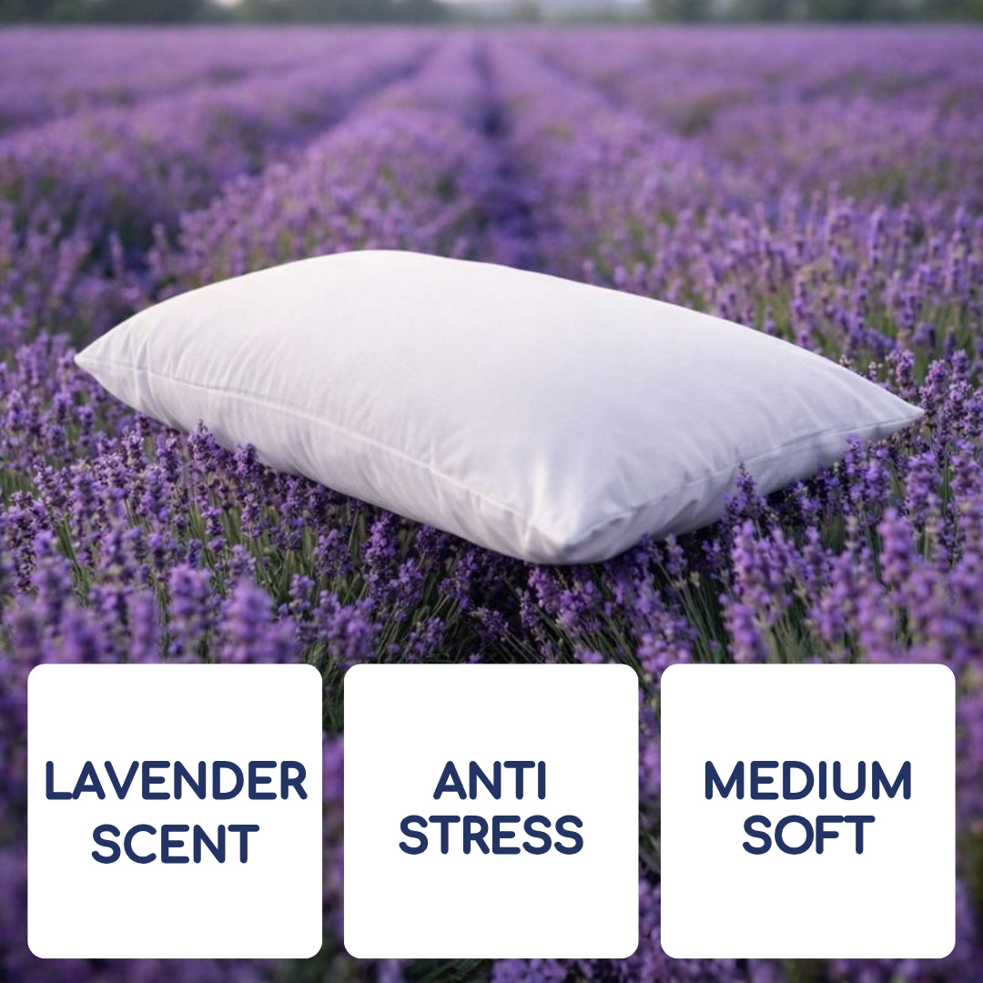 Head2Sleep Lavender Pillow - Pack of 4