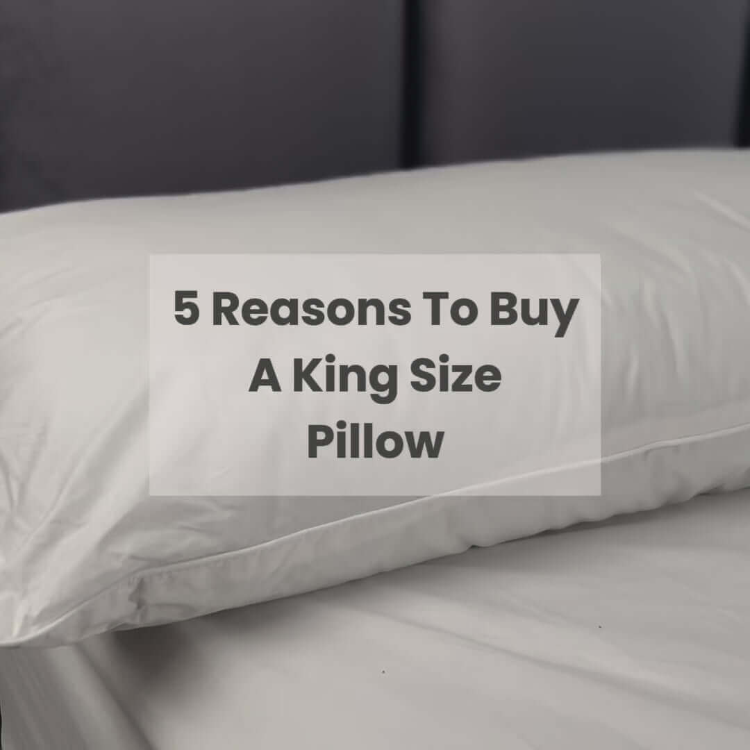 Pillow World King Size Luxury Cotton Pillow | UK's Leading Pillow Specialist | UK's Lowest Prices | Featuring UK's Best Brands including TEMPUR®, Dunlopillo, Hypnos, Silentnight, Sealy, Seriously Comfortable & More